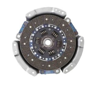 ديسك و صفحه پاترول ((عظام (ديسك و صفحه))
