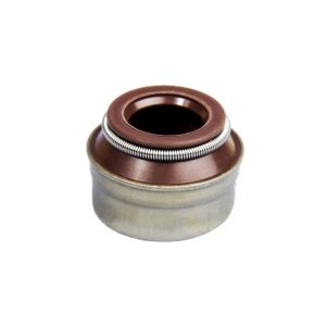 لاستيك ساق سوپاپ 405 (فرانتك)