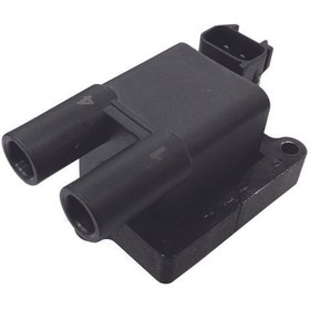 کویل تکی زیمنس 1و 4 پراید و تیبا بدون پین (IZEL)